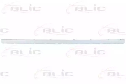 BLIC 5513-00-00659718P