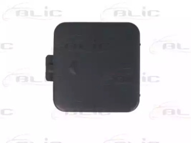 BLIC 5513-00-0066920P
