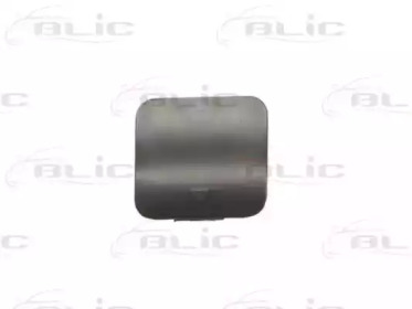 BLIC 5513-00-0075970P BLIC 5513-00-0075970P
