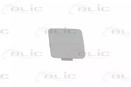 BLIC 5513-00-0086920P