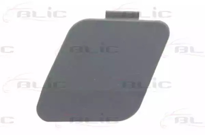 BLIC 5513-00-0086921P