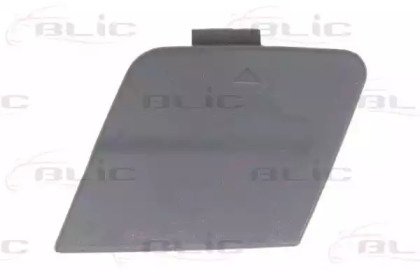 BLIC 5513-00-0086971P