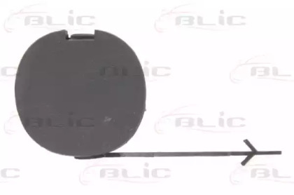 BLIC 5513-00-2013921P