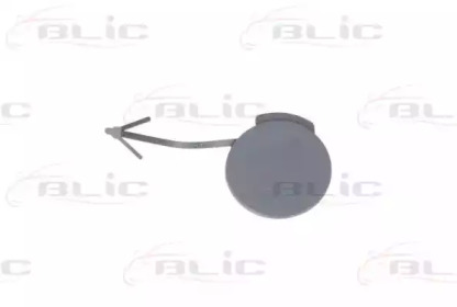 BLIC 5513-00-5024970P