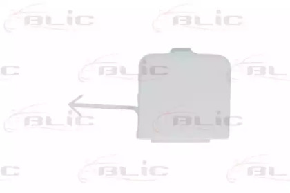 BLIC 5513-00-5504920P
