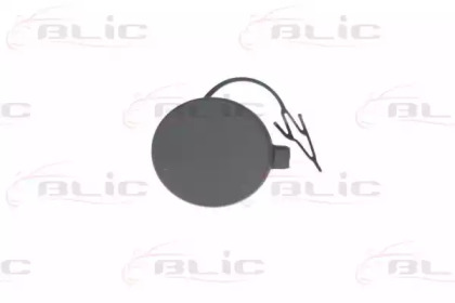 BLIC 5513-00-7517920P