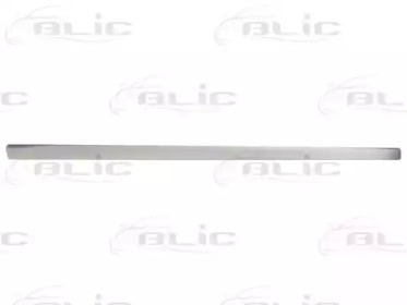 BLIC 5703-04-0019576P BLIC 5703-04-0019576P
