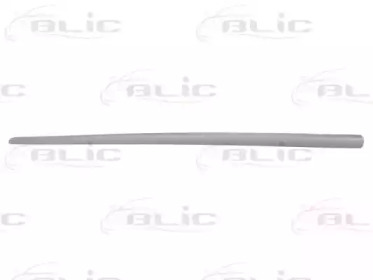 BLIC 5703-04-2023576PP