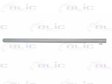 BLIC 5703-04-2026575PP BLIC 5703-04-2026575PP