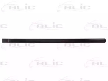 BLIC 5703-04-2555574P
