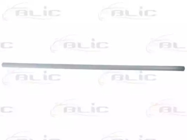 BLIC 5703-04-2555576P