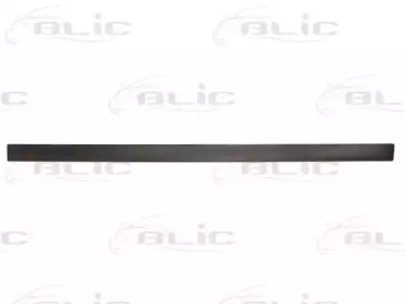 BLIC 5703-04-5097572P BLIC 5703-04-5097572P