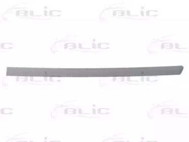 BLIC 5703-04-9539577P BLIC 5703-04-9539577P
