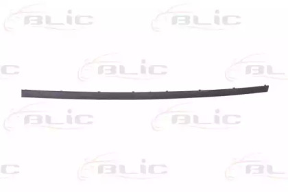BLIC 5703-05-0065975P