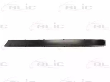 BLIC 5703-05-0075974P BLIC 5703-05-0075974P
