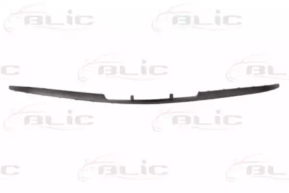 BLIC 5703-05-2023925Q