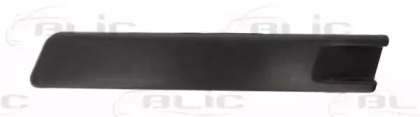 BLIC 5703-05-9540925P BLIC 5703-05-9540925P