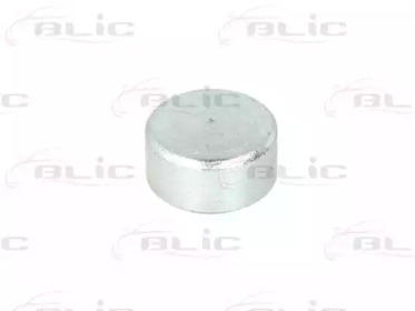 BLIC 6003-00-0005P