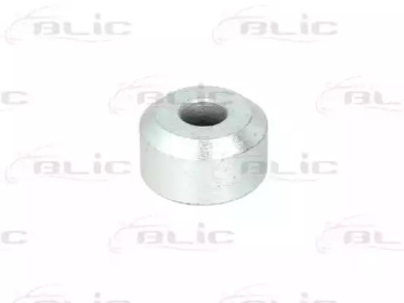 blic 6003000005p