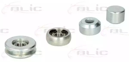 blic 6003000005p