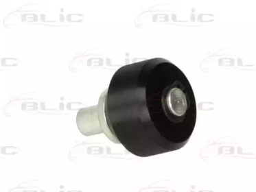 BLIC 6003-00-0006P