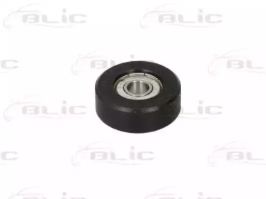 BLIC 6003-00-0010P