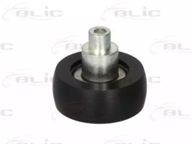 blic 6003000012p