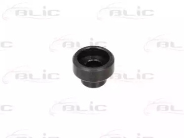 BLIC 6003-00-0017P