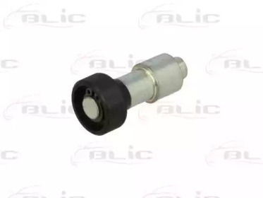 BLIC 6003-00-0022P