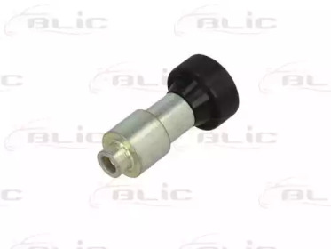 blic 6003000022p
