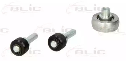 BLIC 6003-00-0029P