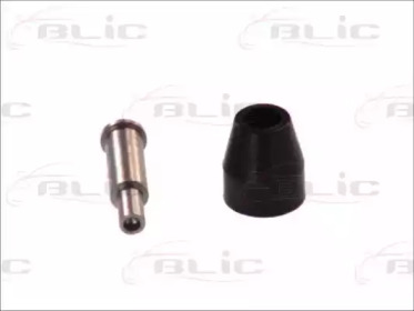 BLIC 6003-00-0066P