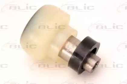 BLIC 6003-00-0098P