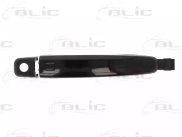 BLIC 6010-25-032401PP BLIC 6010-25-032401PP