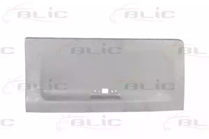 BLIC 6016-00-6061151P BLIC 6016-00-6061151P