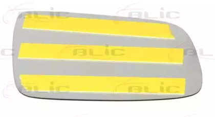 BLIC 6102-01-0018P