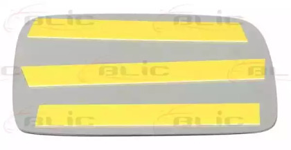 blic 6102010181p