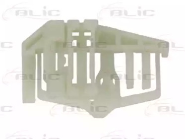 blic 620505021824p