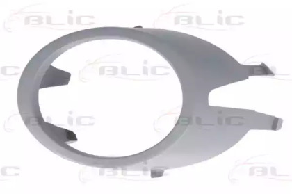 BLIC 6502-07-0028995Q