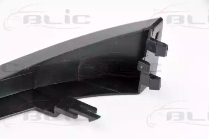 blic 6502070061996p
