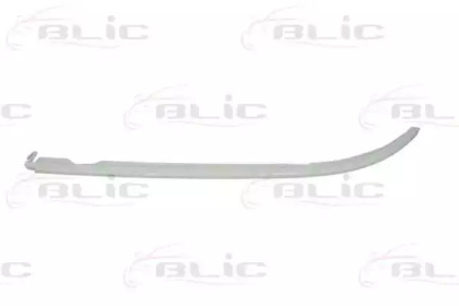 BLIC 6502-07-0065997P