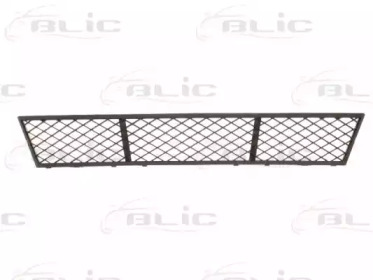 BLIC 6502-07-0067910P BLIC 6502-07-0067910P