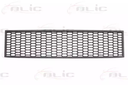 BLIC 6502-07-0067912P