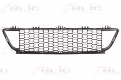 BLIC 6502-07-0086911P