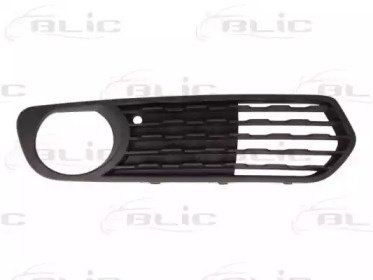 blic 6502070086918p