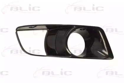 BLIC 6502-07-0107916P