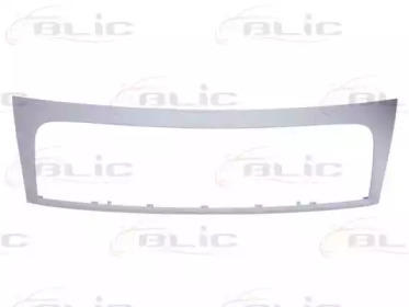 BLIC 6502-07-2035991Q BLIC 6502-07-2035991Q