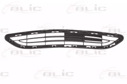 BLIC 6502-07-8102910P BLIC 6502-07-8102910P