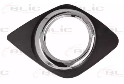 BLIC 6502-07-8179918P BLIC 6502-07-8179918P