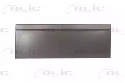 BLIC 6504-03-5088579P BLIC 6504-03-5088579P